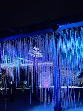 Himeji Castle of Light『DANDELION PROJECT 姫路城×NAKED, INC.』に投稿された画像（2025/11/27）