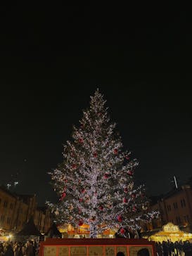 Christmas Market in 横浜赤レンガ倉庫 2025に投稿された画像（2025/11/27）