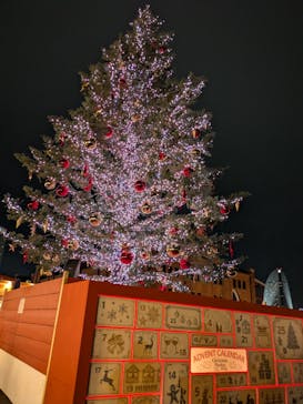 Christmas Market in 横浜赤レンガ倉庫 2025に投稿された画像（2025/11/27）