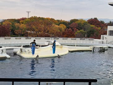 京都鉄道博物館×京都水族館に投稿された画像（2025/11/27）