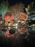 国営昭和記念公園 秋の夜散歩に投稿された画像（2025/11/27）