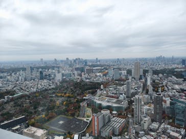 横浜ランドマークタワー 69階展望フロア スカイガーデンに投稿された画像（2025/11/27）