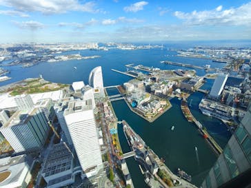 横浜ランドマークタワー 69階展望フロア スカイガーデンに投稿された画像（2025/11/27）