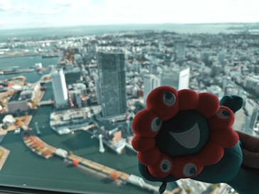 横浜ランドマークタワー 69階展望フロア スカイガーデンに投稿された画像（2025/11/27）