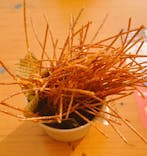 Christmas Market in 横浜赤レンガ倉庫 2025に投稿された画像（2025/11/28）