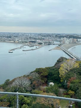 江の島シーキャンドルに投稿された画像（2025/11/28）