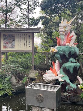 江の島シーキャンドルに投稿された画像（2025/11/28）