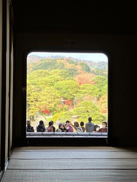 足立美術館に投稿された画像（2025/11/28）