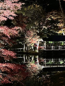 名古屋市東山動植物園に投稿された画像（2025/11/28）