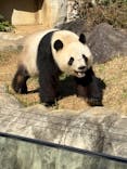 恩賜上野動物園に投稿された画像（2025/11/28）