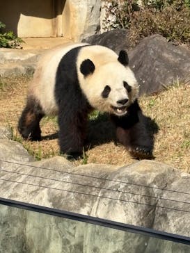 恩賜上野動物園に投稿された画像（2025/11/28）