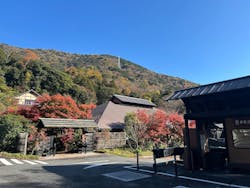 箱根湯寮に投稿された画像（2025/11/28）