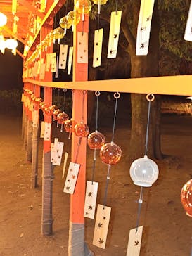 国営昭和記念公園 秋の夜散歩に投稿された画像（2025/11/28）