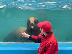 ゼロ距離水族館 伊勢シーパラダイスに投稿された画像（2025/11/28）