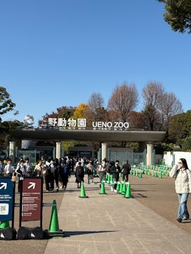 恩賜上野動物園に投稿された画像（2025/11/28）
