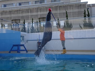 竹島水族館に投稿された画像（2025/11/28）