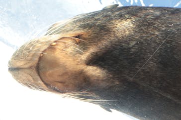 サンシャイン水族館に投稿された画像（2025/11/28）