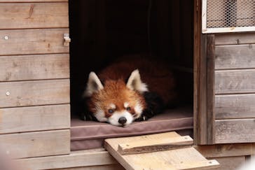 千葉市動物公園に投稿された画像（2025/11/28）