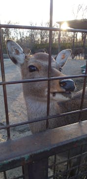 那須サファリパークに投稿された画像（2025/11/28）