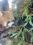 恩賜上野動物園に投稿された画像（2025/11/28）