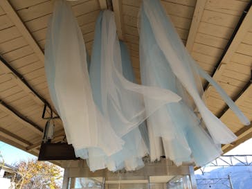 FUJI TEXTILE WEEK 2025 総合案内所に投稿された画像（2025/11/28）