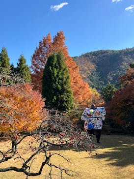 彫刻の森美術館に投稿された画像（2025/11/28）