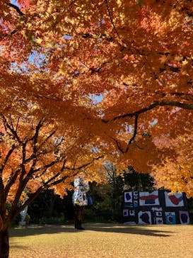 彫刻の森美術館に投稿された画像（2025/11/28）