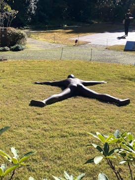 彫刻の森美術館に投稿された画像（2025/11/28）