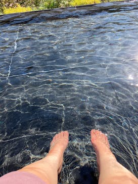 彫刻の森美術館に投稿された画像（2025/11/28）