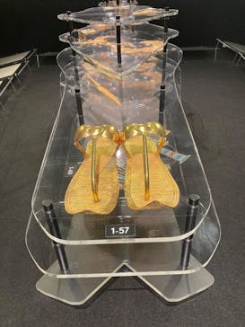 MYSTERY OF TUTANKHAMEN 体感型古代エジプト展に投稿された画像（2025/11/28）