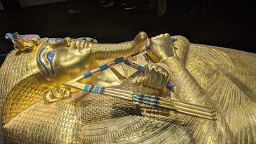 MYSTERY OF TUTANKHAMEN 体感型古代エジプト展に投稿された画像（2025/11/28）