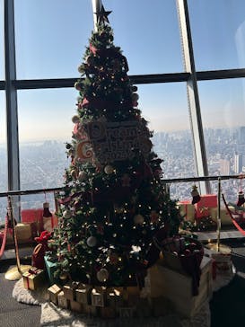 東京スカイツリーに投稿された画像（2025/11/28）