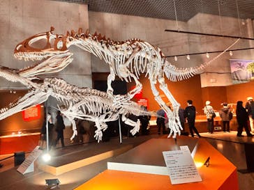 特別展「大絶滅展―生命史のビッグファイブ」に投稿された画像（2025/11/28）