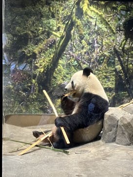 恩賜上野動物園に投稿された画像（2025/11/28）