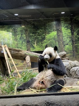 恩賜上野動物園に投稿された画像（2025/11/28）