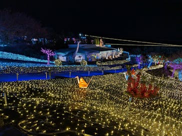 伊豆高原グランイルミに投稿された画像（2025/11/28）