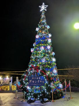 伊豆高原グランイルミに投稿された画像（2025/11/28）