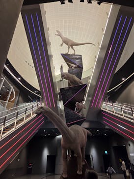 福井県立恐竜博物館に投稿された画像（2025/11/28）