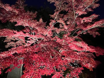 名古屋市東山動植物園に投稿された画像（2025/11/28）