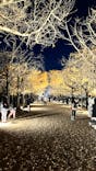 国営昭和記念公園 秋の夜散歩に投稿された画像（2025/11/28）