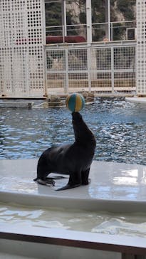 城崎マリンワールドに投稿された画像（2025/11/28）