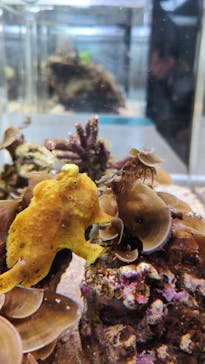 城崎マリンワールドに投稿された画像（2025/11/28）