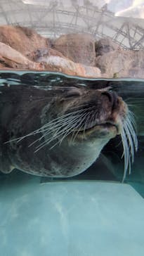 城崎マリンワールドに投稿された画像（2025/11/28）