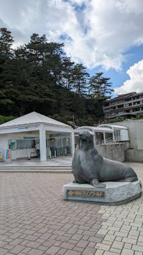 城崎マリンワールドに投稿された画像（2025/11/28）