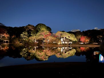 六義園に投稿された画像（2025/11/28）