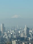 東京タワーに投稿された画像（2025/11/28）
