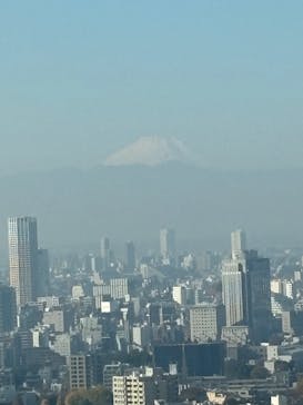 東京タワーに投稿された画像（2025/11/28）