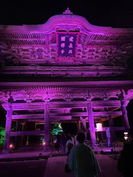 ZEN NIGHT WALK KAMAKURAに投稿された画像（2025/11/28）