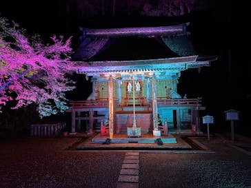 日吉大社雅楽コンサート/Night Gagaku Concert at Hiyoshi Taisha Shrine near Kyotoに投稿された画像（2025/11/28）