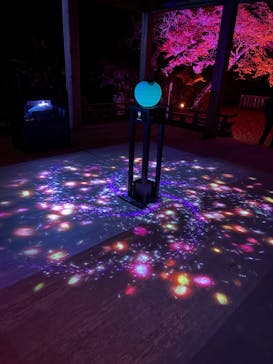 日吉大社雅楽コンサート/Night Gagaku Concert at Hiyoshi Taisha Shrine near Kyotoに投稿された画像（2025/11/28）